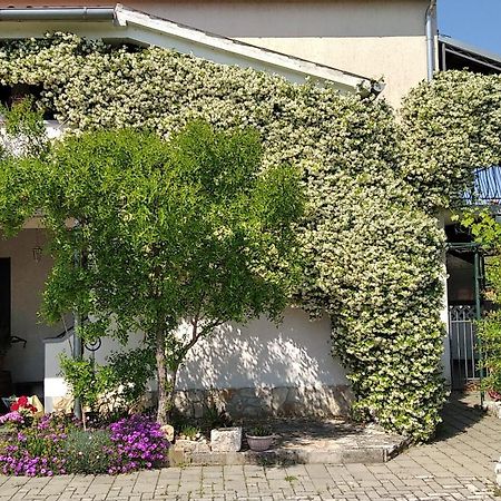 פורץ Apartment Sasa Bozac מראה חיצוני תמונה