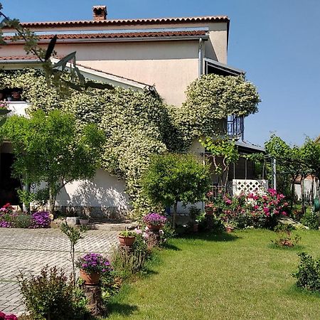 פורץ Apartment Sasa Bozac מראה חיצוני תמונה