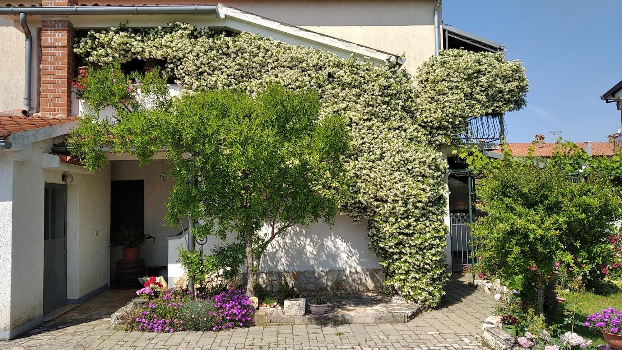 פורץ Apartment Sasa Bozac מראה חיצוני תמונה