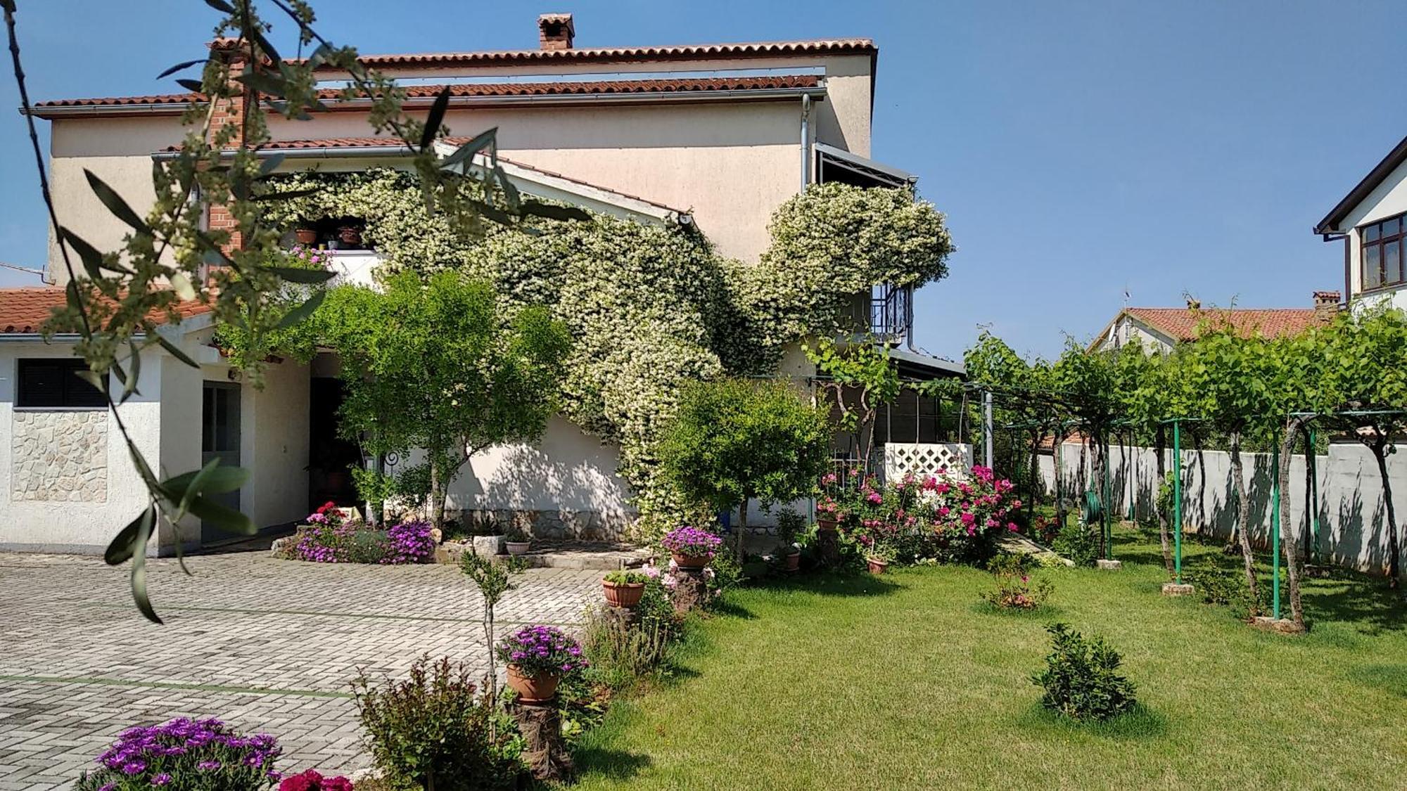 פורץ Apartment Sasa Bozac מראה חיצוני תמונה